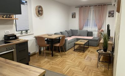Stan na dan „Čelzi“